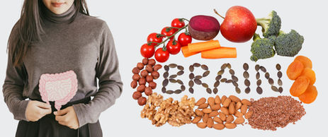 Exploring the Gut-Brain Connection