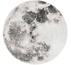 10456946-big28389947.png