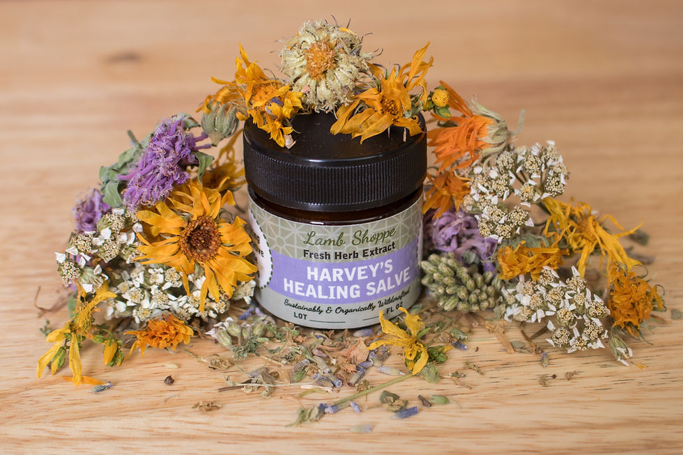 Thumbnail: Harvey's Healing Salve