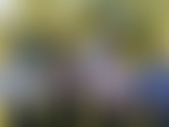 Jazz for alle - uke 2