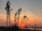 silo-sunset.jpg