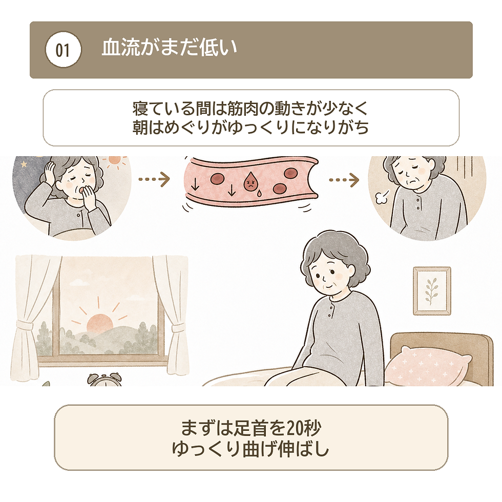 朝起きた直後は血流がまだ低く、足首を動かす運動がおすすめであることを説明するイラスト
