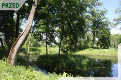 PARKI PAŁACOWE