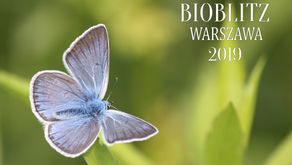 BioBlitz - Przyrodnicze Wydarzenie Roku