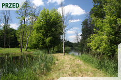 PARKI PAŁACOWE