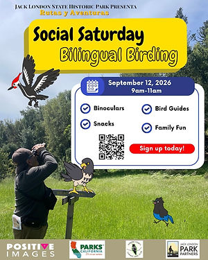 Social Sat Sep '26 (1).jpg