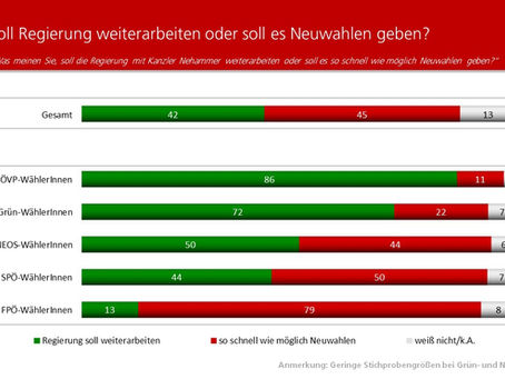 Profil-Umfrage: Soll die Regierung weiterarbeiten oder soll es Neuwahlen geben?