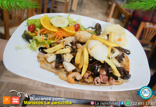 Filete campestre.png