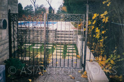 0003.jpg