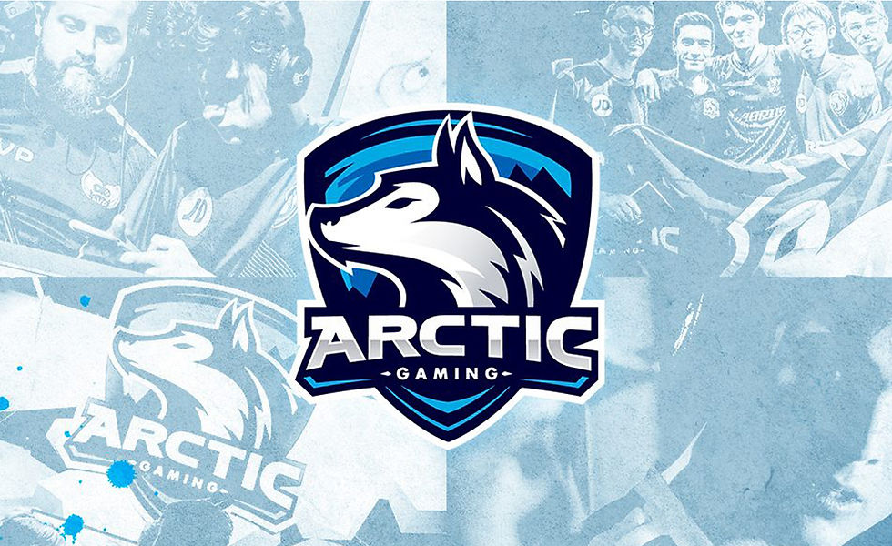https://arctic-gaming.nl/