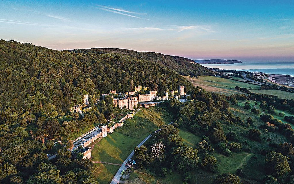 Aerial view of a castle surrounded by dense green forest and fields. The ocean and a clear blue sky are in the background, creating a serene mood.