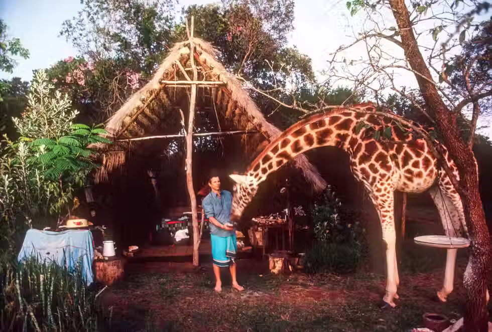 A man feeding a giraffe outside a tent
