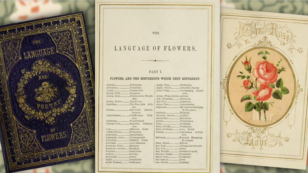 Three vintage book pages: ornate cover with "Language and Poetry of Flowers"; middle list of flower sentiments; right rose illustration with "Love".