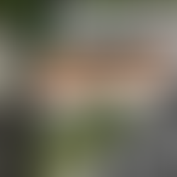 Before Dallas: The Forgotten Attempt to Kill JFK