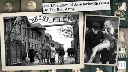 Collage showing Auschwitz liberation. Main image: people leaving camp under "Arbeit Macht Frei" sign. Text: "The Liberation of Auschwitz-Birkenau By The Red Army." Mood: somber.