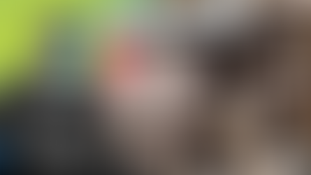 The Bizarre Plot To Kidnap Abraham Lincoln's Body