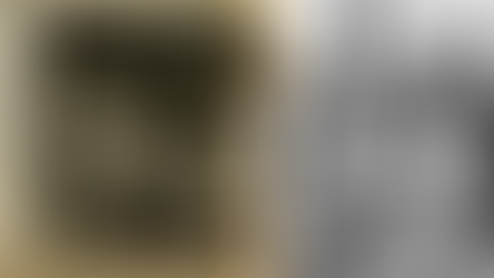 Prisoners in dark hallways and crowded yard, fists raised. Sepia tones and monochrome add intensity. Emotion: defiance and unity.