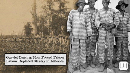 Convict laborers in striped uniforms work in a field, chained together. Text: "Convict Leasing: How Forced Prison Labour Replaced Slavery in America."