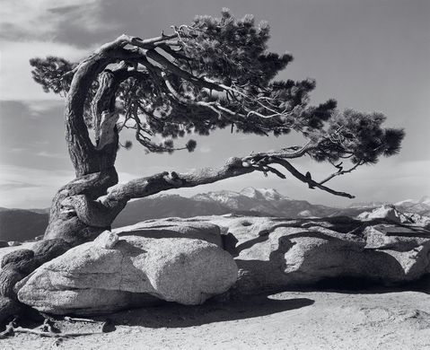 Moonrise kingdom: How Ansel Adams's Most Famous Photograph Became A