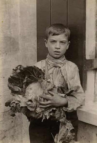 Young boy holding a large leafy cabbage in a sepia-toned portrait.