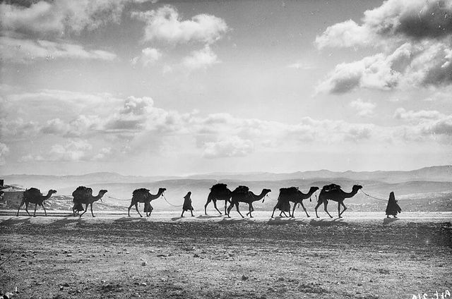 Black-and-white photograph of a Bedouin caravan silhouetted against a dramatic sky, featuring a line of camels led by figures walking on foot across a desert ridge. The camels are loaded with packs, and distant hills stretch across the horizon. Captured in the early 20th century by the American Colony Photo Department.