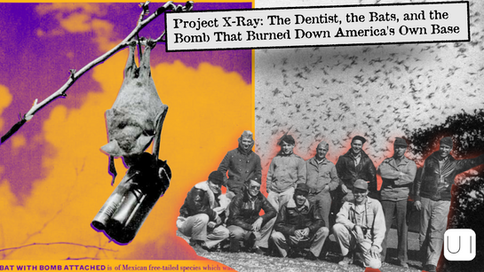 A bat with a bomb hangs from a branch, against a vibrant orange and purple sky. Below, a black-and-white photo shows a group of men outdoors. Text reads "Project X-Ray: The Dentist, the Bats, and the Bomb That Burned Down America's Own Base."