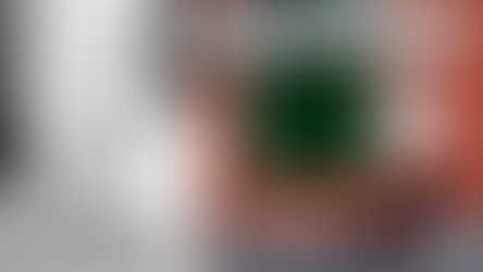 Two images show a woman with a duck. Left: Black and white, floral dress. Right: Colorful, red door. Text: "Ruthie the Duck Girl."