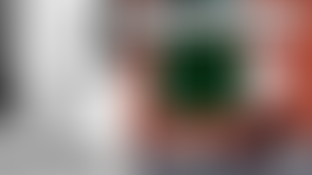 Two images show a woman with a duck. Left: Black and white, floral dress. Right: Colorful, red door. Text: "Ruthie the Duck Girl."