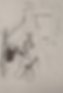 A drawing by Greenlee illustrating her perspective on necrophilia