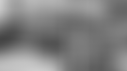 A plane landed on a city street, surrounded by police and a crowd. Text reads "The Wild Flights of Thomas Fitzpatrick: From Bar Bet to Urban Legend."