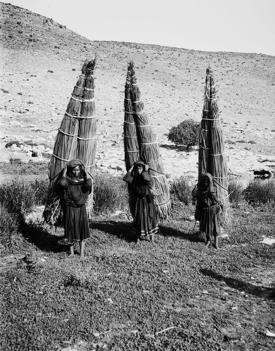 Black-and-white photograph of three Bedouin women carrying tall, conical bundles of reeds or thatch on their backs, secured with rope. They walk barefoot through a grassy area in a rocky, arid landscape. Captured in the early 20th century by the American Colony Photo Department.