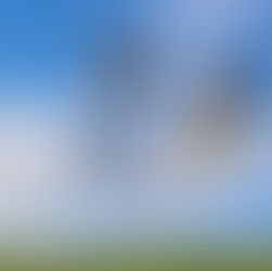 Énergie – Aloe Vera