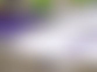 Cách Tẩy Hình In Trên Áo Thun Dễ Thực Hiện Nhất