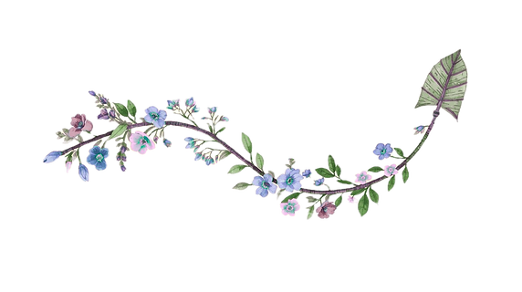 Untitled design(2)_edited.png