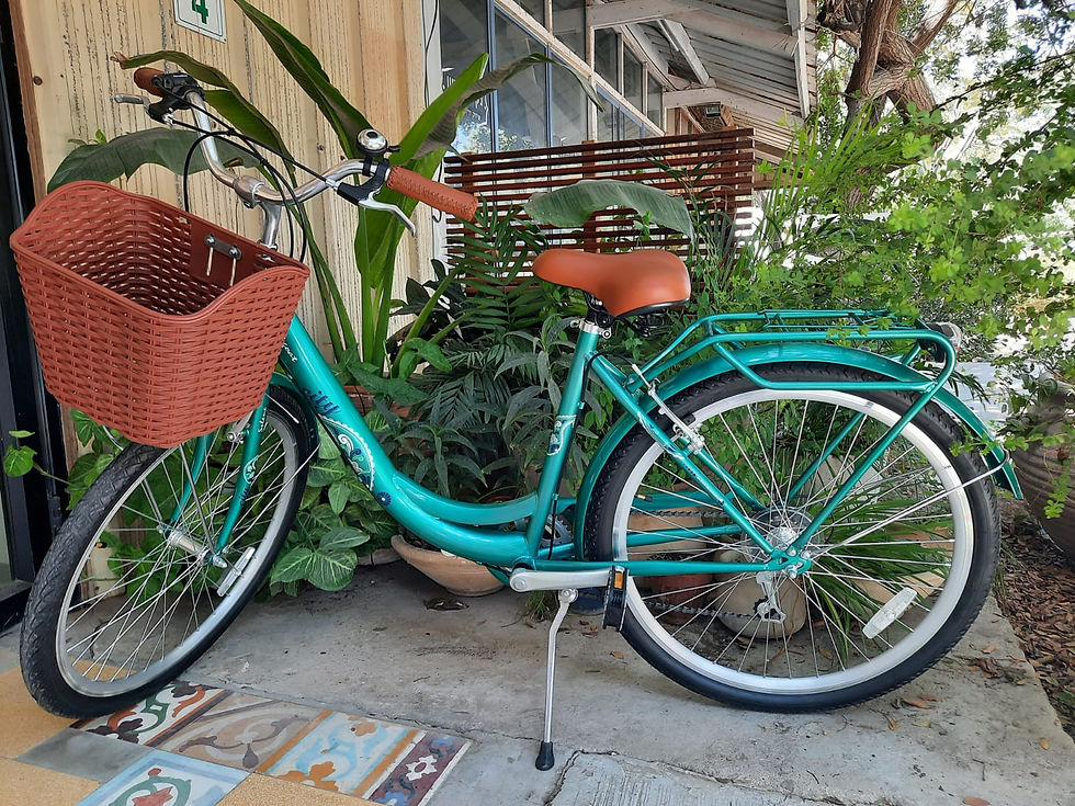 תמונה ממוזערת: BLACKGOAT City 7 אופני עיר קלאסיות