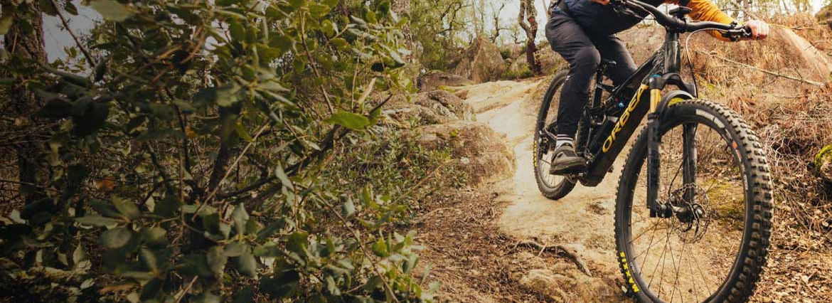 orbea MTB.jpeg