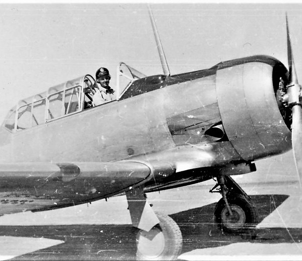 pop in plane.jpg