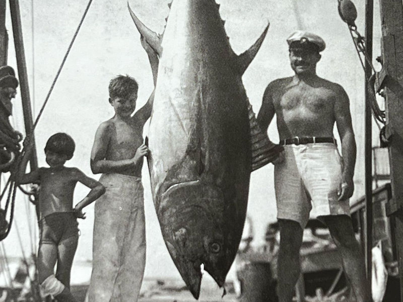The Old Man and the Sea