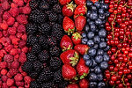 AdobeStock_487868891.jpeg
