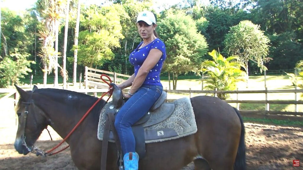 Distancia do estribo