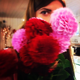Pink and red dahlias with brunette