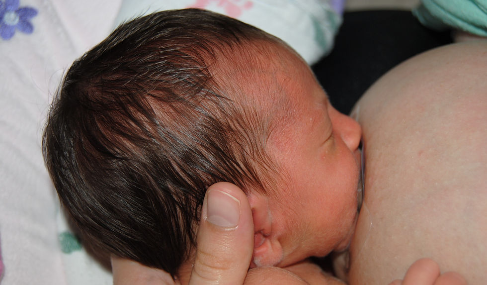 late preterm infant breastfeeding with nipple shield