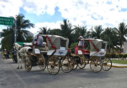 IMG_1278 (Edited)_edited