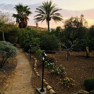 Finca Vermietung Süd- Ostküste Mallorca, Balearen Insel