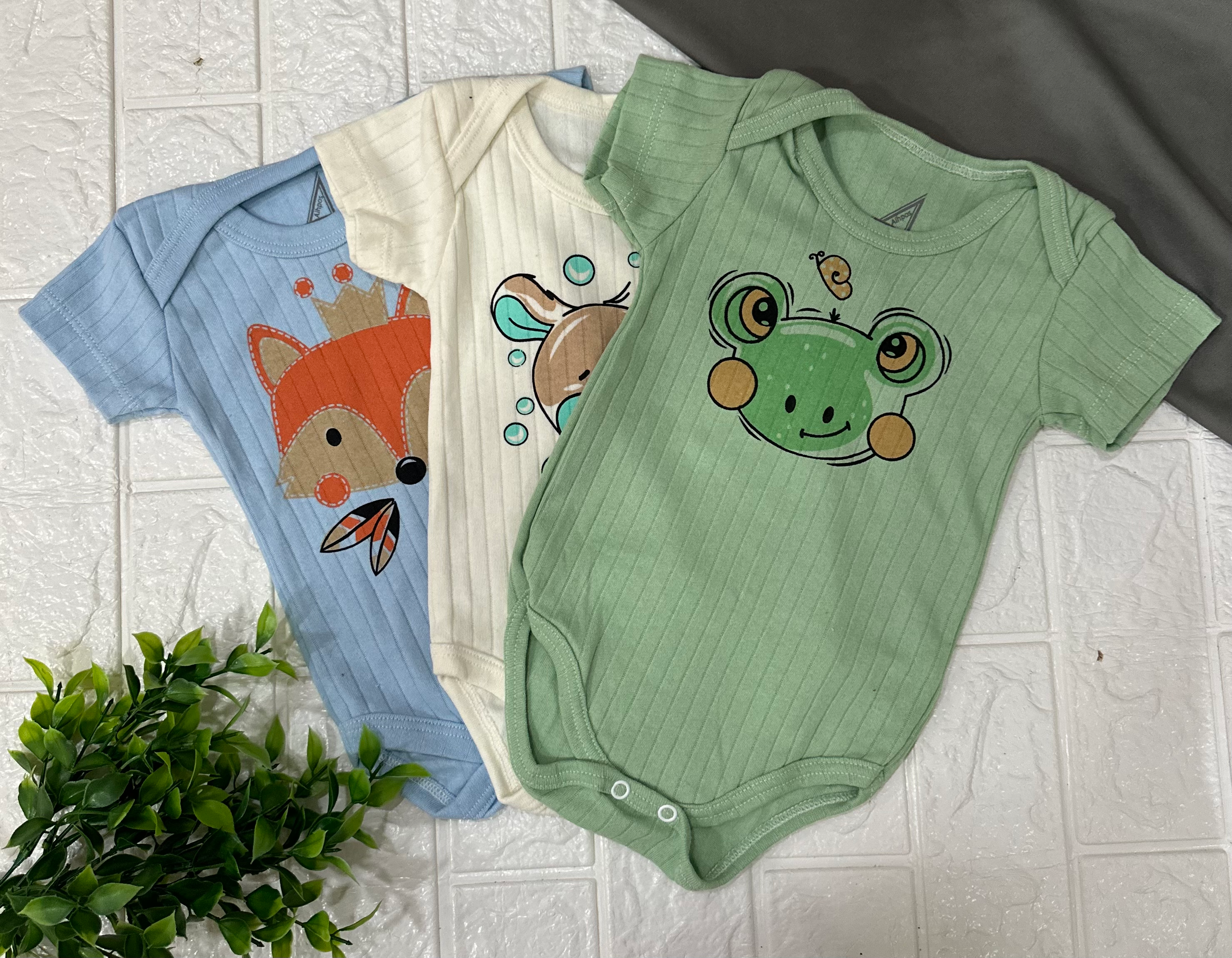 Body M canelado animais