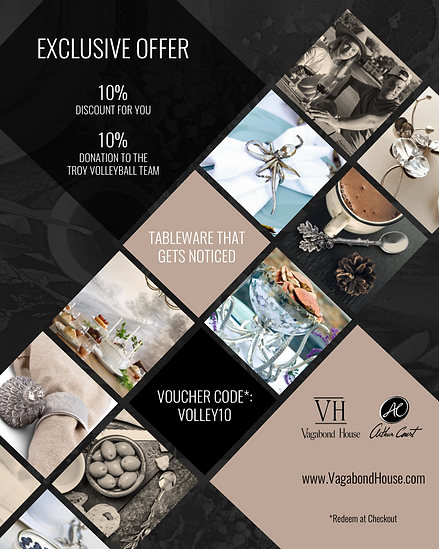 FULL PAGE COLOR (WARRIOR) VAGABONDHOUSE