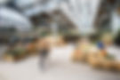 Campfield Open Day-85-web.jpg