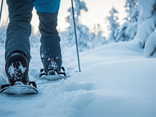 People walking on Brookfield winter trails surrounded by snow-covered trees, promoting outdoor movement and wellness.