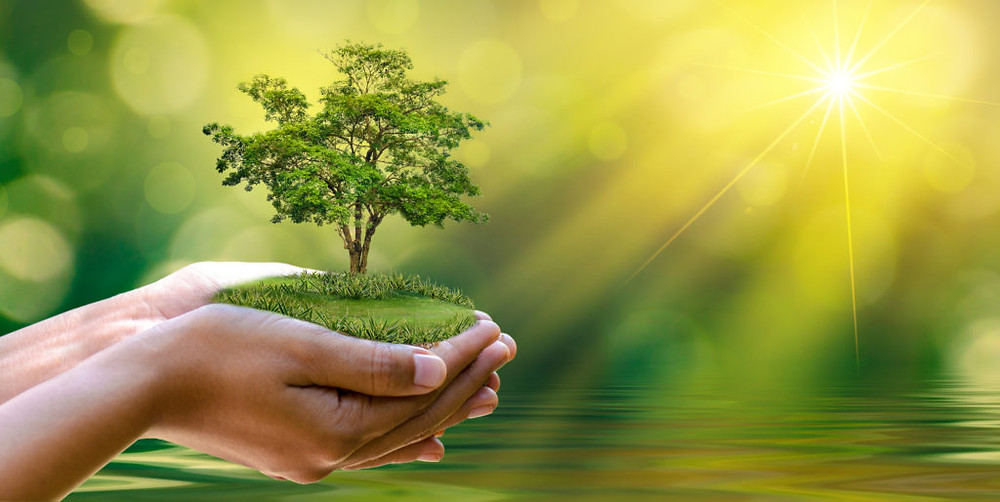 Environmental impact of fashion