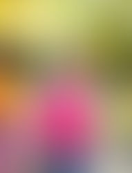 החינוך בטבריה בקריסה מערכתית